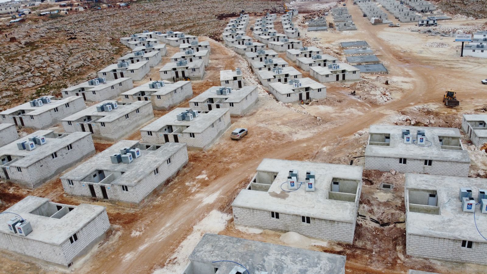 850 Adet Büyükbaş Kurbanlık Hayvan Alımı İhalesi