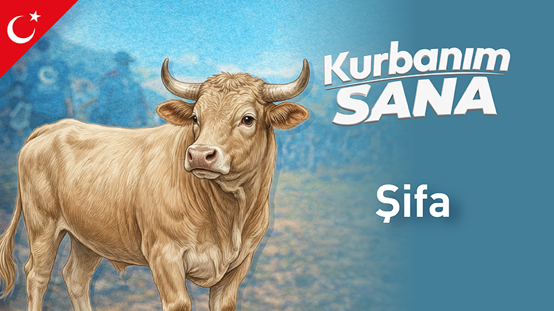 Şifa Kurban Bağışı (Türkiye)