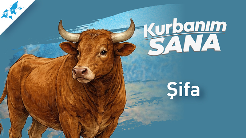 Şifa Kurbanı Bağışı (Yurtdışı)